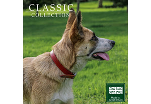 Ancol - Classic Collection Leather Collar - Red - Size 2 (14" - 26-31cm)