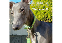 Ancol - Timberwolf Leather Hound Collar - Green - Whippet (30-34cm)