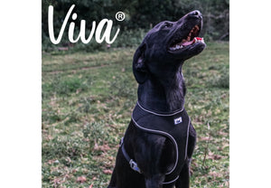 Ancol - Viva Comfort Mesh Dog Harness - Pink - Medium (44-57cm)