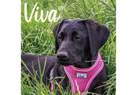 Ancol - Viva Comfort Mesh Dog Harness - Pink - Medium (44-57cm)
