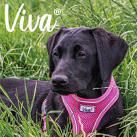 Ancol - Viva Comfort Mesh Dog Harness - Pink - Medium (44-57cm)