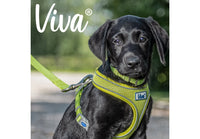 Ancol - Viva Comfort Mesh Dog Harness - Pink - Small (34-45cm)