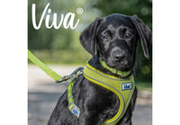 Ancol - Viva Comfort Mesh Dog Harness - Pink - Medium (44-57cm)
