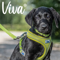 Ancol - Viva Comfort Mesh Dog Harness - Pink - Medium (44-57cm)