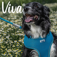 Ancol - Viva Comfort Mesh Dog Harness - Pink - Medium (44-57cm)