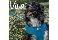 Ancol - Viva Comfort Mesh Dog Harness - Hi-Vis - Small (34-45cm)