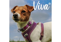 Ancol - Viva Comfort Mesh Dog Harness - Red - XSmall (28-40cm)