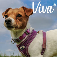 Ancol - Viva Comfort Mesh Dog Harness - Pink - Medium (44-57cm)