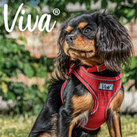 Ancol - Viva Step-in Harness - Red - XLarge
