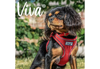 Ancol - Viva Step-in Harness - Purple - XLarge
