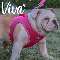 Ancol - Viva Step-in Harness - Purple - XLarge