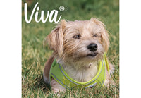 Ancol - Viva Step-in Harness - Purple - XLarge
