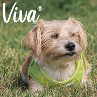 Ancol - Viva Step-in Harness - Purple - Small