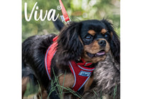 Ancol - Viva Nylon Buckle Collar - Red - Size 6 (45-54cm)