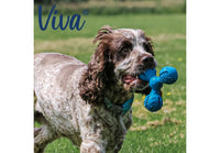 Ancol - Viva Treat Triangle Dog Toy