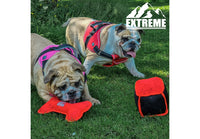 Ancol - Extreme Red & Black Float Dog Toy - Assorted