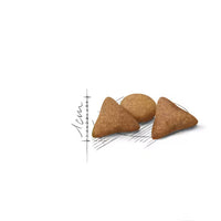 Royal Canin - Cat Indoor Appetite Control Kibble