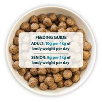 Burns - Sensitive Adult (Grain Free) Dog Food, Duck & Potato
