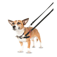 Company Of Animals - Halti Front Control Harness