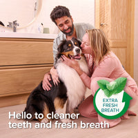 Beaphar - Toothpaste Peppermint & Parsley - 100g