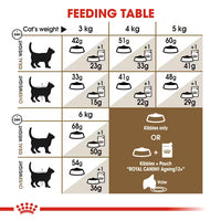 Royal Canin - Ageing Cat +12 Kibble