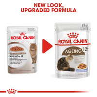 Royal Canin - Ageing Cat +12 In Jelly, 85g Pouch