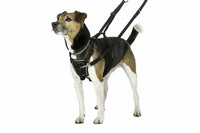 Company Of Animals - Halti No Pull Harness