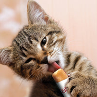 Catit - Creamy Treats Salmon & Prawn - 4 X 10g