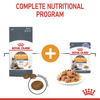 Royal Canin - Hair & Skin Care Cat Pouch In Jelly, 85g