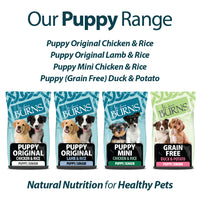 Burns - Original Puppy Food, Chicken & Rice