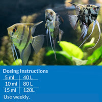 API - Prevent Algae