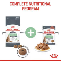 Royal Canin - Cat Digestive Care Pouch in Gravy, 85g