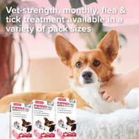 Beaphar - FIPROtec COMBO, Small Dog