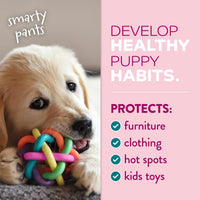 Tropiclean - Chew Stop 2 in 1, for Puppies - 236ml