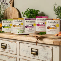 Forthglade - Alimento Húmedo Natural para Perros Adultos, Pato con Patata y Verduras - 395g