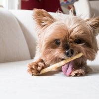 Earth Animal - NoHide Chew, Beef