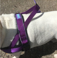 Dog & Co - Norwegian Padded Harness