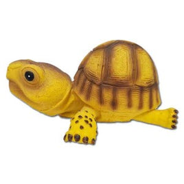 Betta - Crawling Tortoise