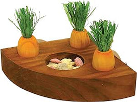 Rosewood - Boredom Breaker Carrot Toy 'n' Treat Holder