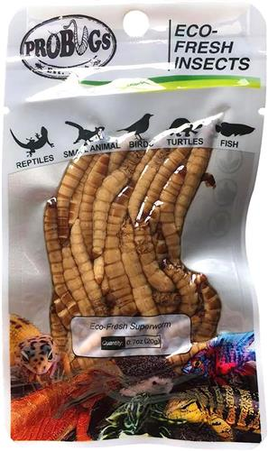 ProBugs - Eco Fresh Superworm - 20g