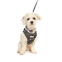 Dodlebone - Snappy Airmesh Harness Black - XXLarge