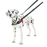 Company Of Animals - Halti Front Control Harness