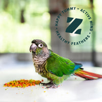 Zupreem - Fruit Blend For Medium Birds - 1kg