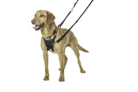 Company Of Animals - Halti No Pull Harness