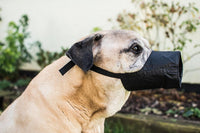 Mikki - Nylon Dog Muzzle