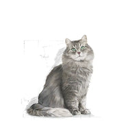 Royal Canin - Sensible Cat 33 Kibble