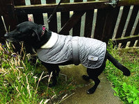 Banbury & Co - All Weather Comfort Dog Coat - Grey - X Large
