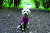 Happy Pet - Buster & Beau Cable Knitted Dog Jumper - Berry - Small