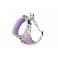 Doodlebone - Adjustable Airmesh Harness, Pastel Paint Splat -