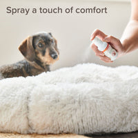 Beaphar - CaniComfort, Calming Spray For Dogs - 30ml